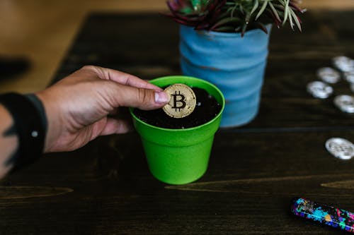 Free A bitcoin coin being placed into a green pot, symbolizing investment growth. Stock Photo